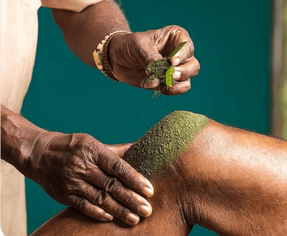 Joint care and Panchakarma treatment plan review.